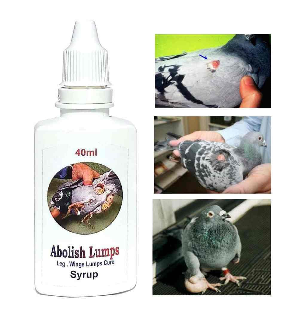 See full amazon price history chart for Pigeon Lump Treatment Medicine ? Abolish LUMP (for 8-Bird/Pigeon Dose) Pigeon Lump Treatment Medicine ? Abolish LUMP (for 8-Bird/Pigeon Dose) (B09SGBQK6J) Amazon Price History, Amazon Price Tracker