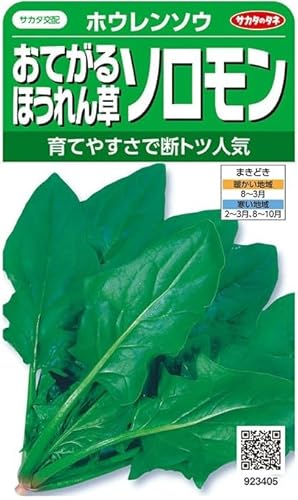 サカタのタネ おてがるほうれん草 ソロモン