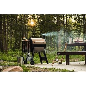 Traeger Grills Pro 22 Electric Wood Pellet Grill and Smoker, Bronze, 572 Square Inches Cook Area, 450 Degree Max Temperature, Meat Probe, 6 in 1 BBQ Grill Traeger Grills Pro 22 Electric Wood Pellet Grill and Smoker Bronze 572 Square Inches Cook Area 450 Degree Max Temperature Meat Probe 6 in 1 BBQ Grill
