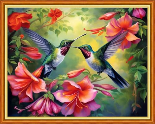 Image of Dooxvey Cross Stitch Kit for Adult Beginners - Full Range of Stamped Kits with 11CT Patterns - Hummingbird Flowers 16x20 inch