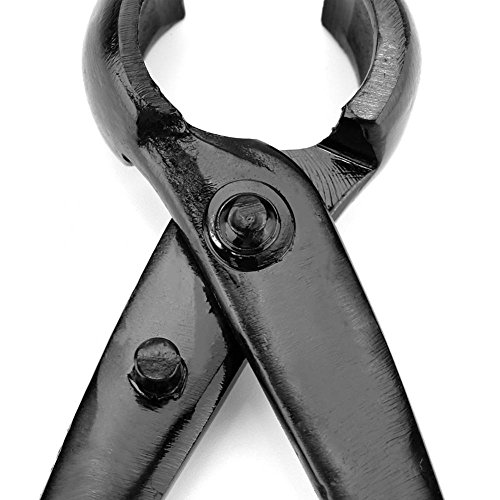 Bonsai Concave Branch Cutter, 8.4 Inch Manganese Steel Alloy Sharp Blade Round Edge Knob Cutter, Gardening Concave Pruner(210Mm / 8.27Inch) #TOP7