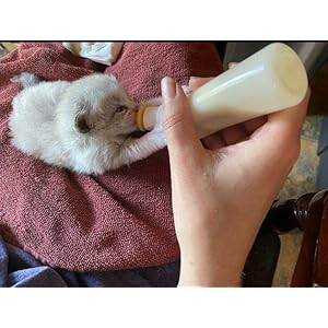 Feeding Bottle Syringe Nipple Kit,with Collar,Droper and Pet Pill Dispenser for Puppies, Kitten and Other Animals,