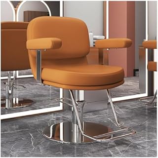 Silla de salón hidráulica ajustable con giro de 360 grados, diseño ergonómico, para estilistas y profesionales de la belleza
