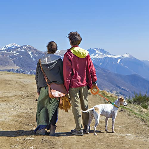 Wolfone 6m orange Schleppleine für Hunde,wasserdichte Trainingsleine, strapazierfähige und Pflegeleichte Leine, geeignet für Rückruf, Schwimmen, Camping, Strand, Jagd, Spaziergänge