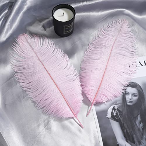 Soarer Pink 15pcs Ostrich Feathers -12-14inche for vase Handmade Crafts,vase,Dream Catcher DIY(Light Pink) by Soarer - Image 3