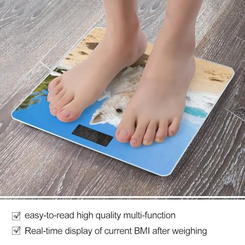 Báscula Digital de Baño con Pantalla LCD y Base Antideslizante miniatura 5