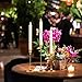 Gold Candlestick Holder Set - Brass Candlestick Holders with 3 Flameless Taper Candles, Gold Candle Stick Holders for Elegant Decor - Gold Taper Candle Holder for Weddings, Parties, and Home