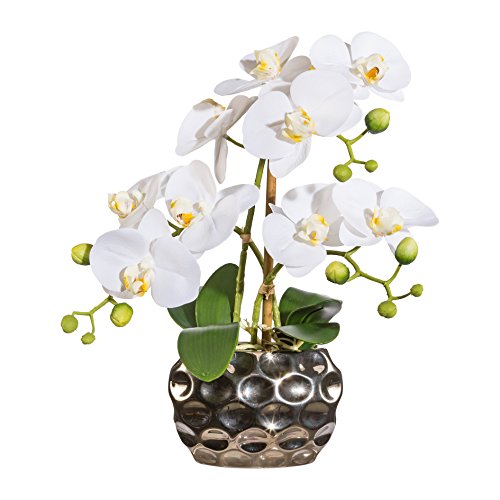 Phalenopsis Gasper en vase blanc pour décoration de table basse lumineuse - 2