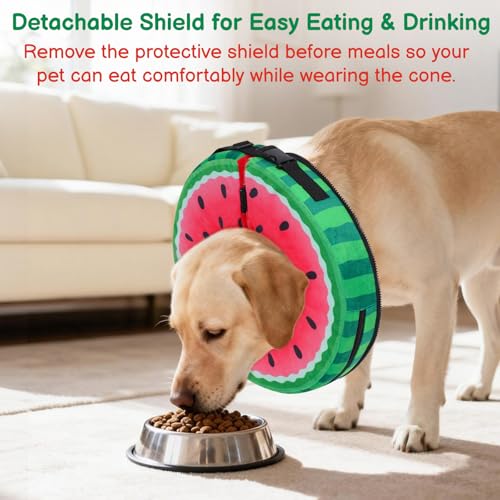 Image of Dog Cone, No-Inflation Sponge Donut Collar for Dogs After Surgery