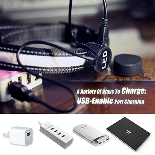 Light Up Dog Collars,Safety Led Dog Collars Usb Rechargeable 7 Changing Colors Glow In The Dark Dog Walking Light,Neon Adjustable Safety Buckle Lighted Dog Collar For Small/Medium/Large Dogs, L Size #TOP7