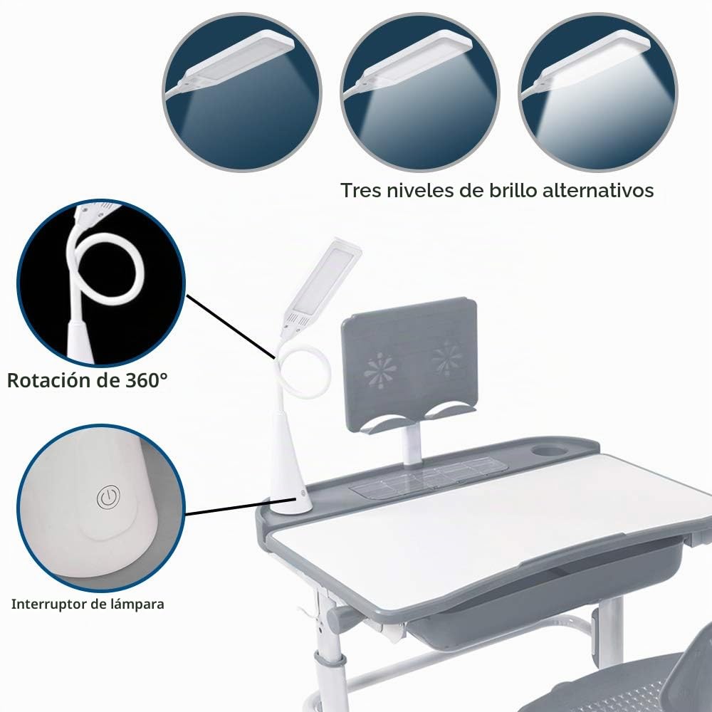 Yinleader Kids Juego de escritorio y silla para niños, mesa ajustable con lámpara de protección visual, soporte para libros, escritorio basculante ideal para escribir, leer y dibujar (gris)
