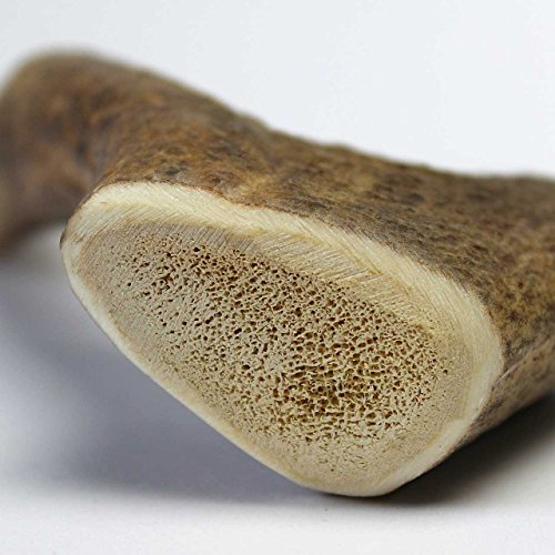 Hundeleckerlies Larsson Geweihstück Full-Chew M Kauartikel für Hunde
