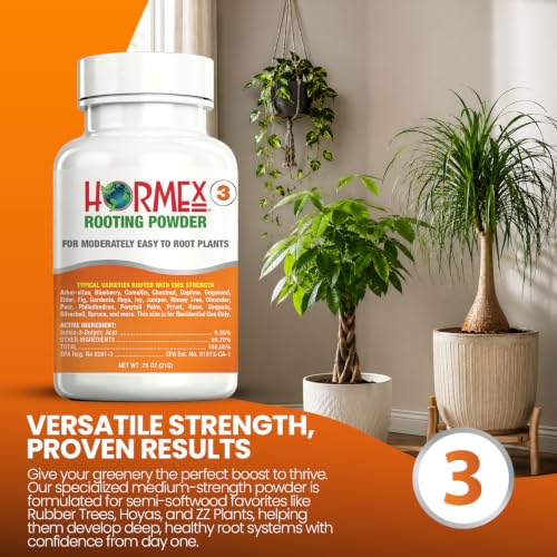Image of Hormex Rooting Hormone Powder #3 - Fast Roots for Softwood Plant Cuttings