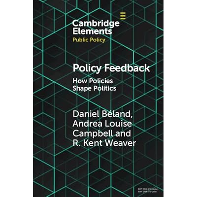 Policy Feedback