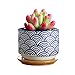 GeLive 3 Inch Ceramic Succulent Planter, Cactus Plant Pot, Flower Container with Bamboo Drip Tray, Indoor Outdoor, Set of 2 (Wave and Blue Flower)
