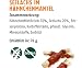 Christopherus Kausticks für Hunde, Seelachs im Hähnchenmantel, Warmluftgetrocknet, Natur-Im-Biss, 70 g