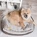 ne&no® Hundebett 2 in 1 PERSONALISIERT [kühlender und wärmender Stoff] | Tierbett mit Name I Hundebett kleine Hunde | Hunde Bett 45x60 | Hundebett eckig | Hunde Schlafplatz | (Br, m, pers.)