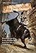 Viva Jacquelina!: Being an Account of the Further Adventures of Jacky Faber, Over the Hills and Far Away (Bloody Jack Adventures Book 10)