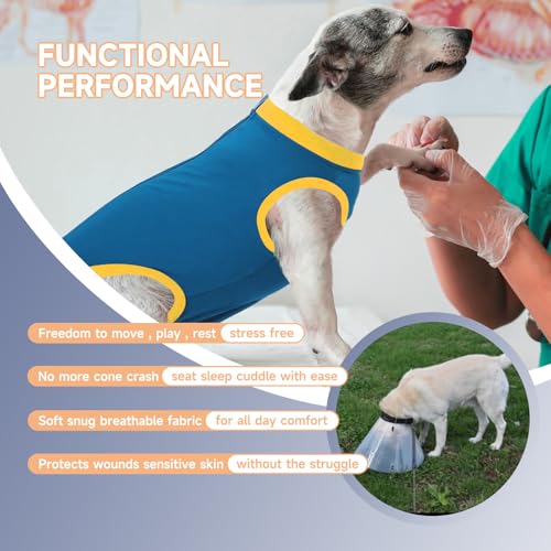 Image of Dog Surgery Recovery Suit After Spay, Dog Onesies for Small, Medium & Large Pet, Abdominal Wounds Post Surgical Recovery Suit lternatives to E-Collars Bandages Recovery Cones (Blue, 2XLarge)