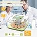 Incubators for Hatching Eggs, 12 Eggs Capacity, Egg Incubator with Automatic Egg Turning and Humidity Control for All Poultry - Chickens, Ducks, Quails, Turkeys, and More