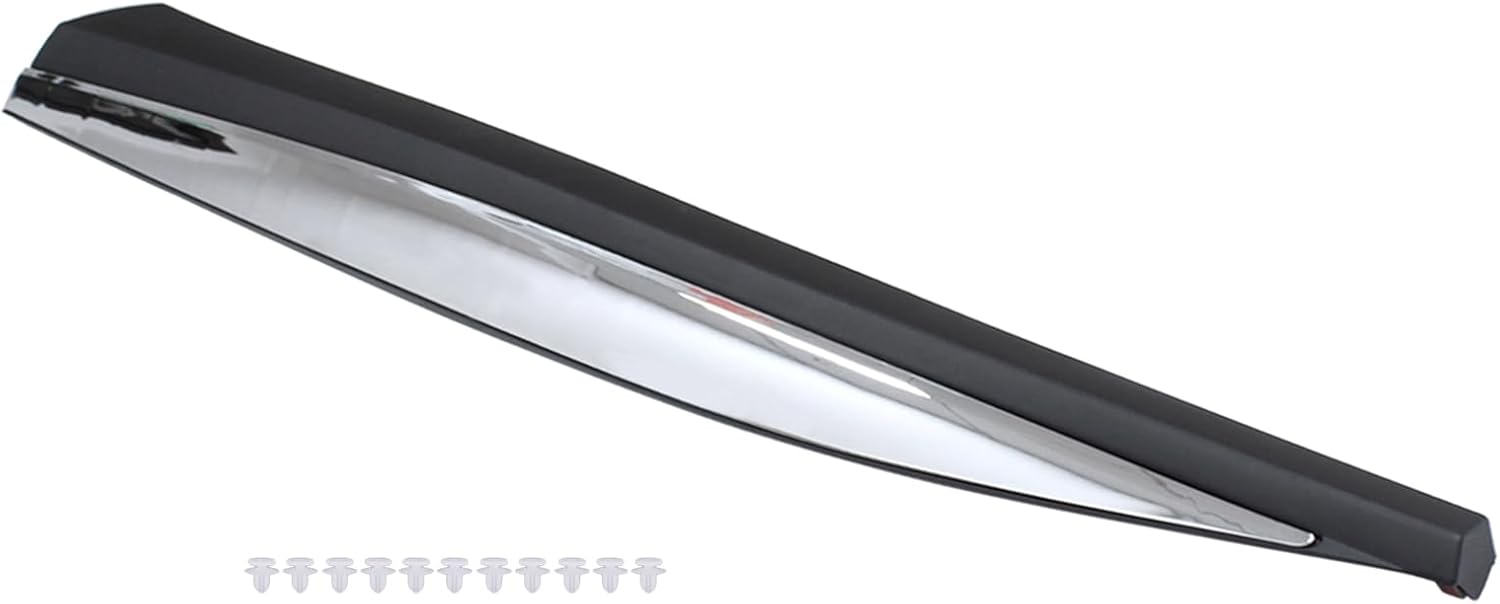 ApplianPar Front Driver Side Door Lower Trim Molding for Murano 2015 2016 2017 2018 2019 2020