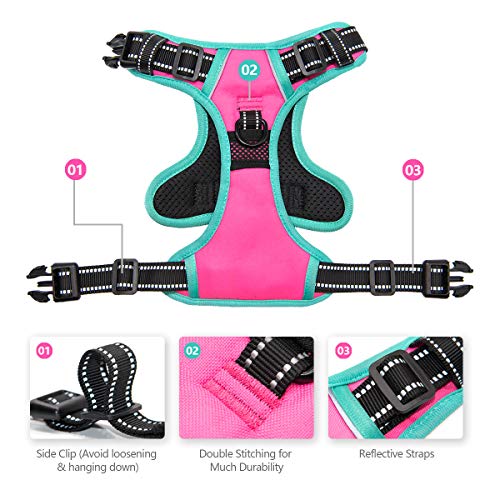 PHOEPET 2019 Upgraded No Pull Dog Harness, Reflective Adjustable Vest, with a Training Handle + 2 Metal Leash Hooks+ 3… - Image 5