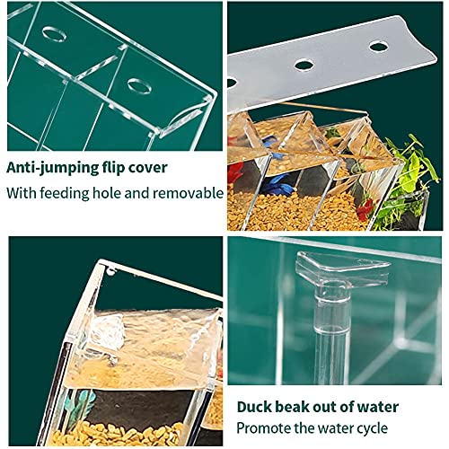 Chestnut-YX ベタフィッシュタンク水族館キット の商品画像 4