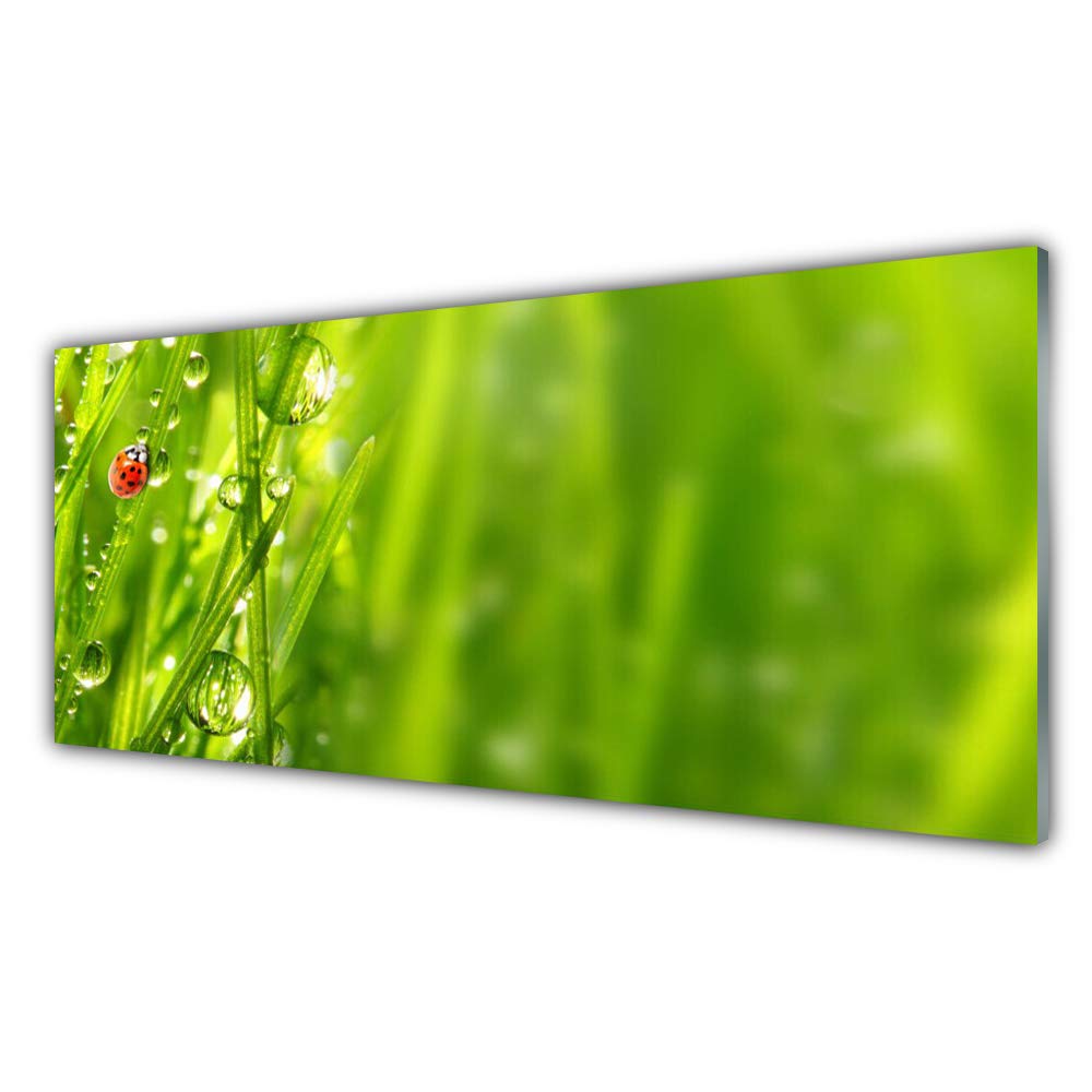 Impression sur Verre Trempé Tulup Décoration Haut de Gamme 125x50cm Tableau Design Nature