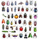 50枚 バグステッカー 昆虫デカール ルカニダエカブトムシ クリアデカール てんとう虫クリケット フライビーデカール 窓ガラスステッカー用