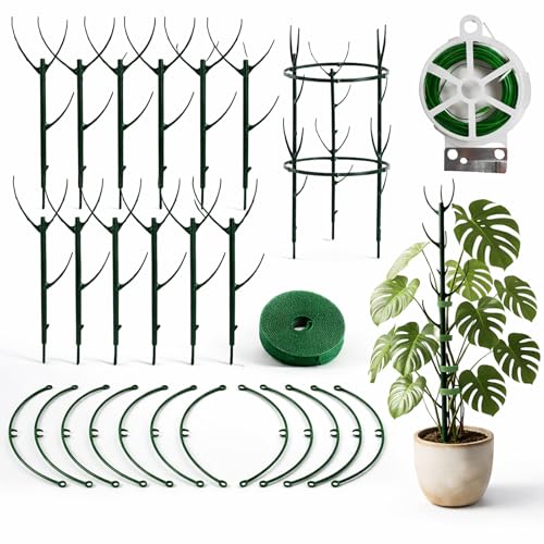 Plant Trellis Kit for Monstera Climbing Plant Support System Indoor