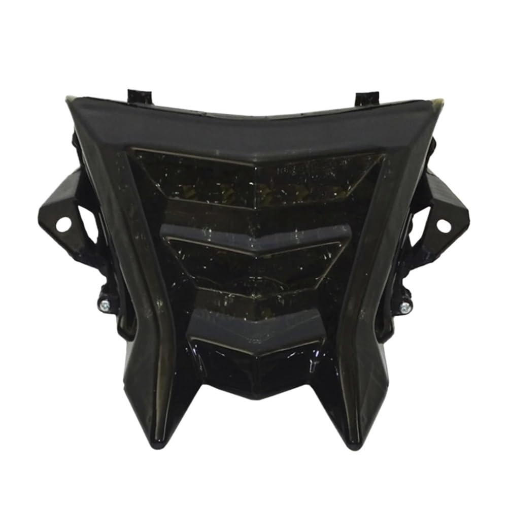 Running Stop Brake License Plate Tail Light Motorcycle Led Turn Signal Light Blinker Indicator Brake Taillight For S1000R HP4 S1000RR 2009-2020 Smoked