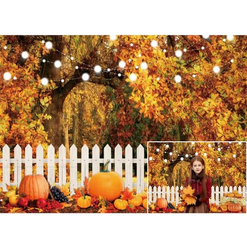 LFEEY - Fall Thanksgiving Backdrop for Photography Party Decorations Autumn Forest Pumpkin Photo Background Thanksgiving Farm Harvest Hay Stack Backdrop Kids Adults Baby Shower Birthday Studio Props 10x6.5ft - -48%