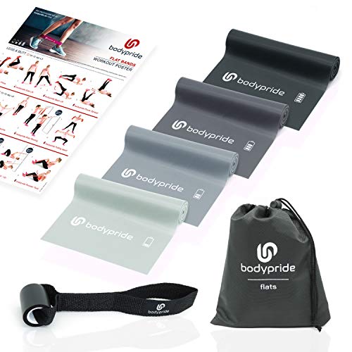 Premium Fitness Flat Bands | Elásticos de Resistencia [ Conjunto de 4 ] + Ancla de Puerta | Látex Natural | Unisex Set Gris | Yoga, Pilates | Banda + Bolsa de Transporte | Garantía + Workout-Poster