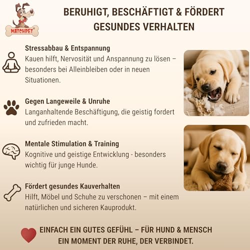 Kauwurzel für Hunde aus Baumheide Natürlicher Kausnack aus Hartholz Langlebig & splitterfrei Extra Kleine 2 Stück