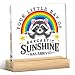 Funny Raccoon Acrylic Desk Decor, Office Desk Decor, Sarcastic Gifts for Coworkers Friends, Office Decoration for Women, Sarcastic Quote Acrylic Plaques for Home Offices Bedroom Table