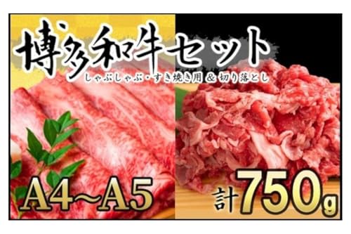 博多和牛 A4〜A5 しゃぶしゃぶ すき焼き 750g セット(スライス 250g・切り落とし 500g)配送不可:離島