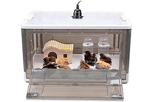 Quail Brooder- Premium Chick Brooder, Reliable and Safe for Up to 15 Chicks
