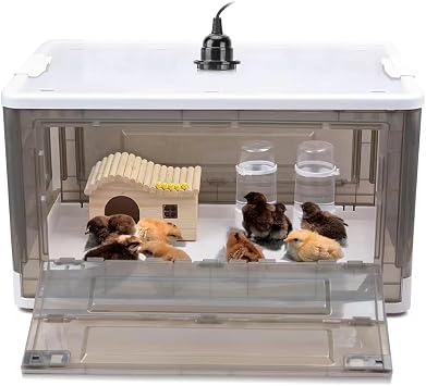 Chick Brooder,Brooder Box for Chicks,Brooder Heater Warms up to 15 Chicks (20x14x12)