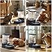 Gardner Pet Futterautomat Katze, 3.85L Wasserspender Hund mit Edelstahlschüssel, Ohne Strom, BPA Frei, Gravitation Wasserspender Katzen, für Mittlere/groß Haustiere (Grau)