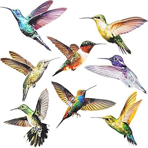 Auckpure Fensterbilder Selbstklebend, 16 Stück Fenstersticker Kolibri, Wintergarten Vogelschutz Aufkleber, Für Schutz Vor Vogelschlag, Leuchtende Farben, Kann für Wohnkultur Aufkleber Verwendet Werden Cover