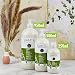 Sante Naturkosmetik Champu Tratante Ginkgo-Oliva 500 ml 500 g