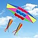 Besra Huge 98inch Single Line 3D Radar Kite with Flying Tools 2.5m Power Box Kites with 2 Windsock Tails Outdoor Fun Sports for Adults (windsock)