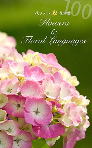 Flowers And Floral Languages Hana Photo Hana Kotoba Japanese Edition Shinobu Soga Amazon Com