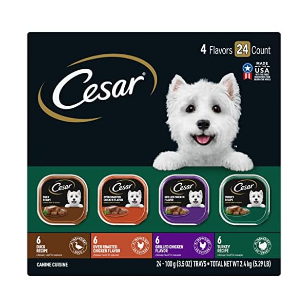 CESAR Canine Cuisine Wet Dog Food Poultry Variety Pack, (24) 3.5 oz. Trays, Gift for Your Dog CESAR Canine Cuisine Wet Dog Food Poultry Variety Pack, (24) 3.5 oz. Trays, Gift for Your Dog