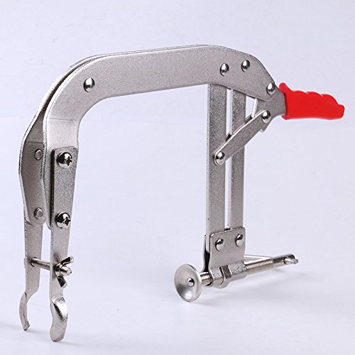 Amazon.com: EX ELECTRONIX EXPRESS 8 Inch Valve Spring