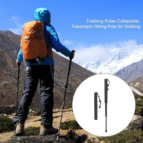 Leichte und langlebige Trekkingstöcke zum Spazierengehen, Skifahren und Wandern im Freien
