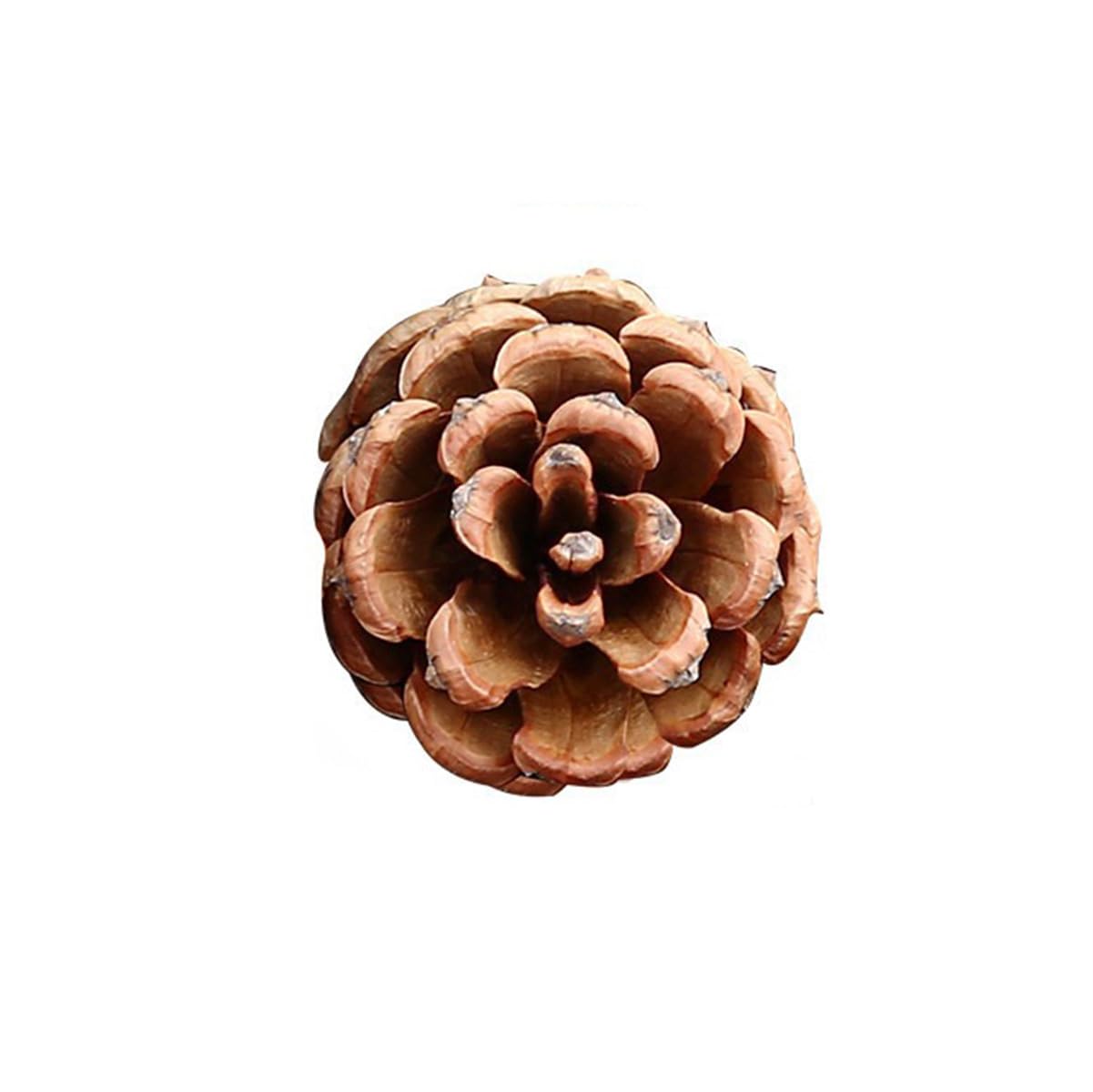 20 conos de pino natural para manualidades, mini piñas de 6 a 7 cm, adornos de piñas pequeñas naturales a granel para manualidades, árbol de Navidad, corona, relleno de jarrón, fiesta de boda