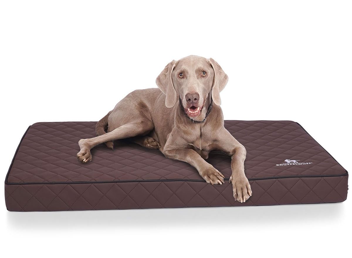 Knuffelwuff Tapis orthopédique pour chien, Coussin orthopédique Juna, similicuir surpiqué au laser, marron 110x66x10cm