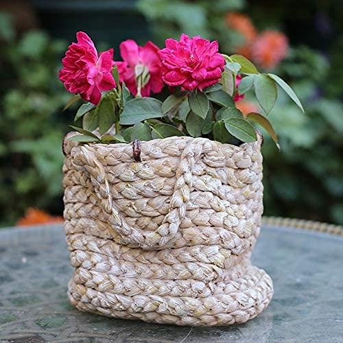 Fleur pot de fleur accessoires de plante verte ZXQUEGF