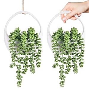 Der Rose 2 Packs Fake Hanging Plants Succulents with Strings Artificial Plants Indoor Outdoor for Boho Wall Decor